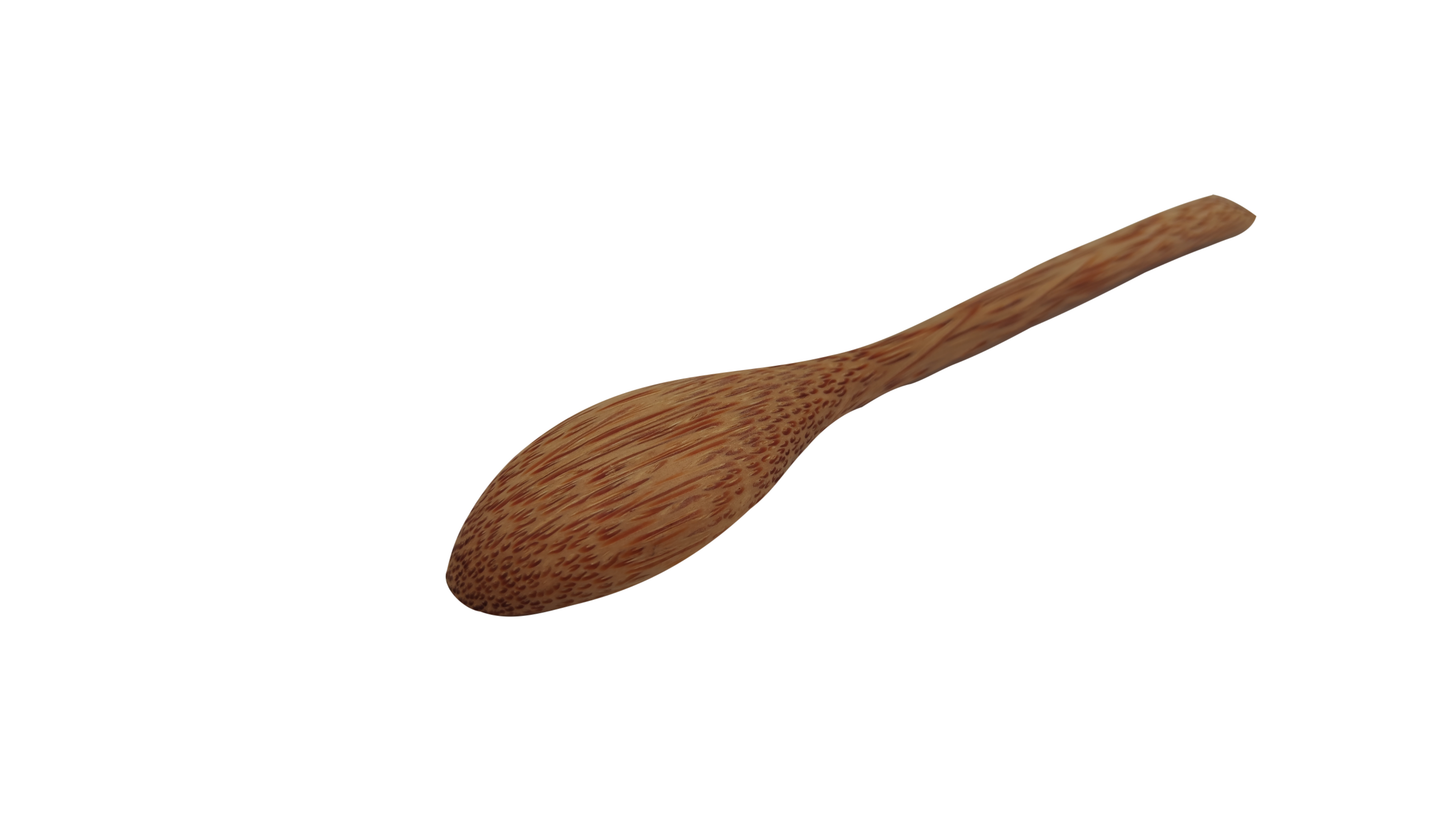 coconut fiber spoon